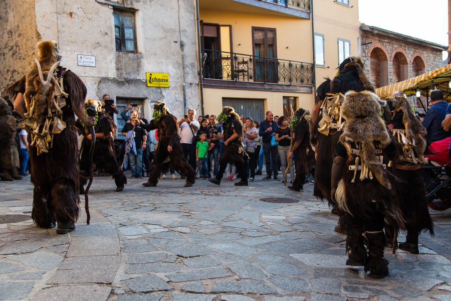 Cortes Apertas 2017