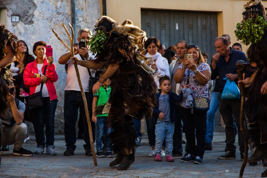 Cortes Apertas 2017