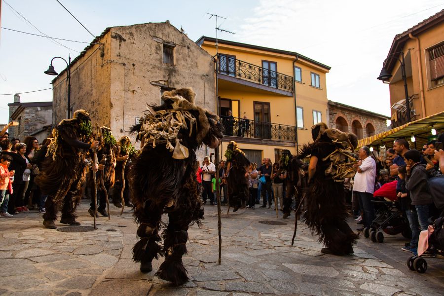 Cortes Apertas 2017