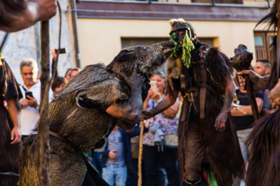 Cortes Apertas 2017