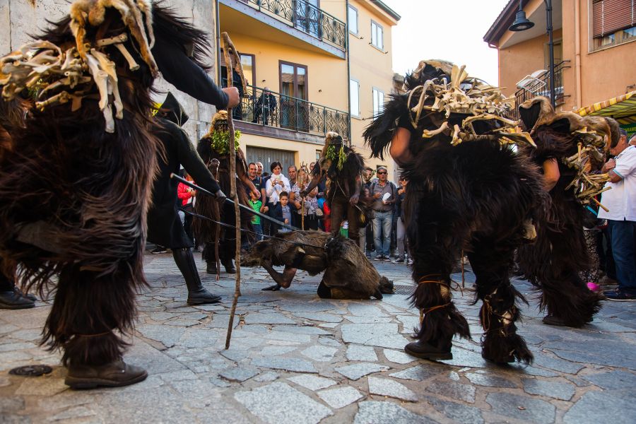 Cortes Apertas 2017