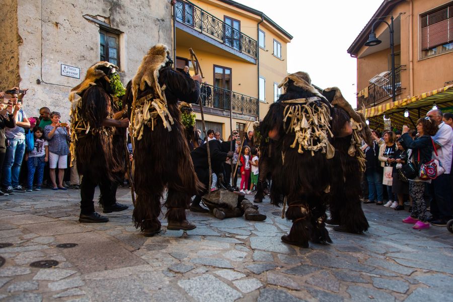 Cortes Apertas 2017