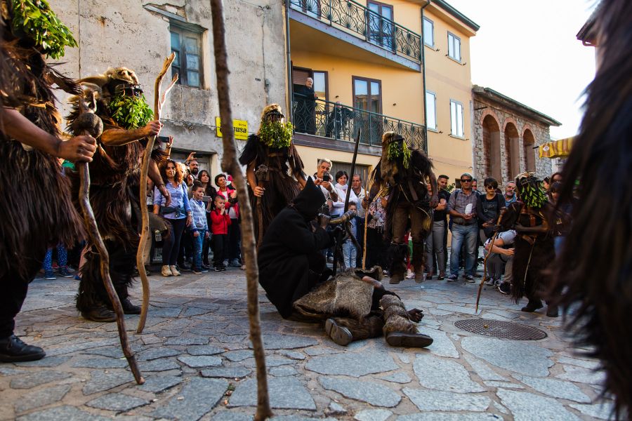 Cortes Apertas 2017