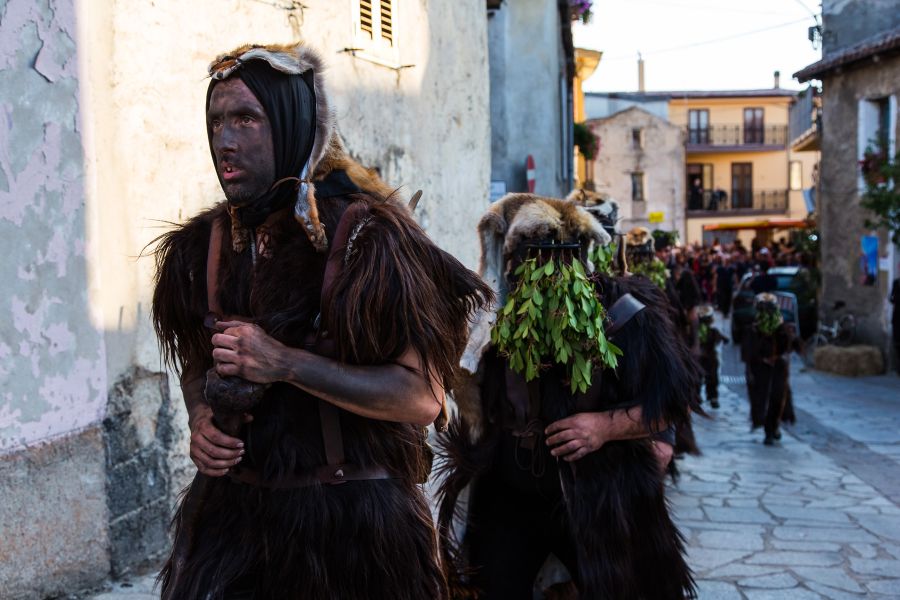 Cortes Apertas 2017