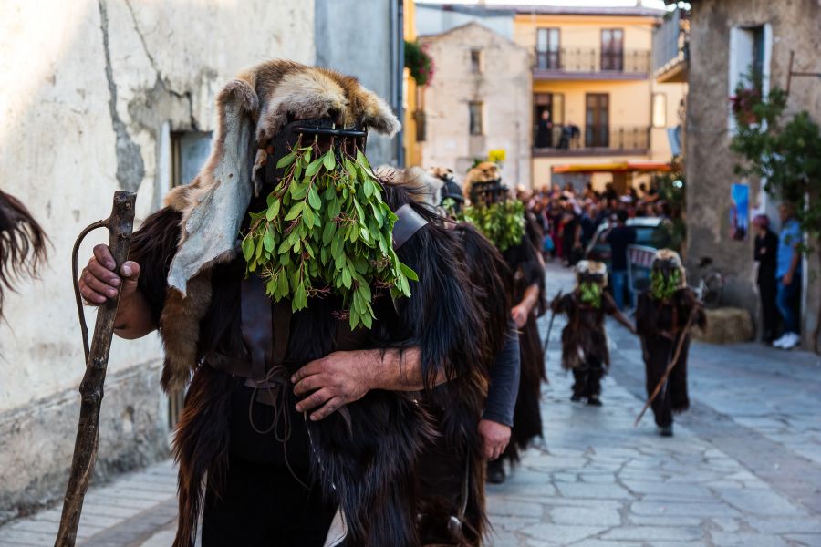 Cortes Apertas 2017