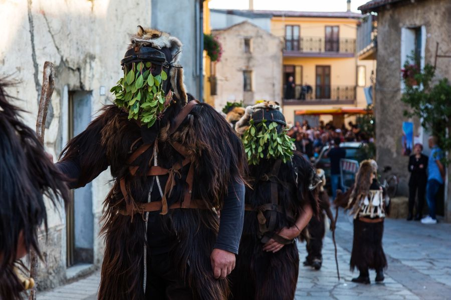 Cortes Apertas 2017