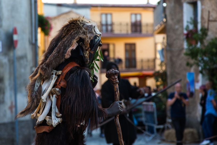 Cortes Apertas 2017