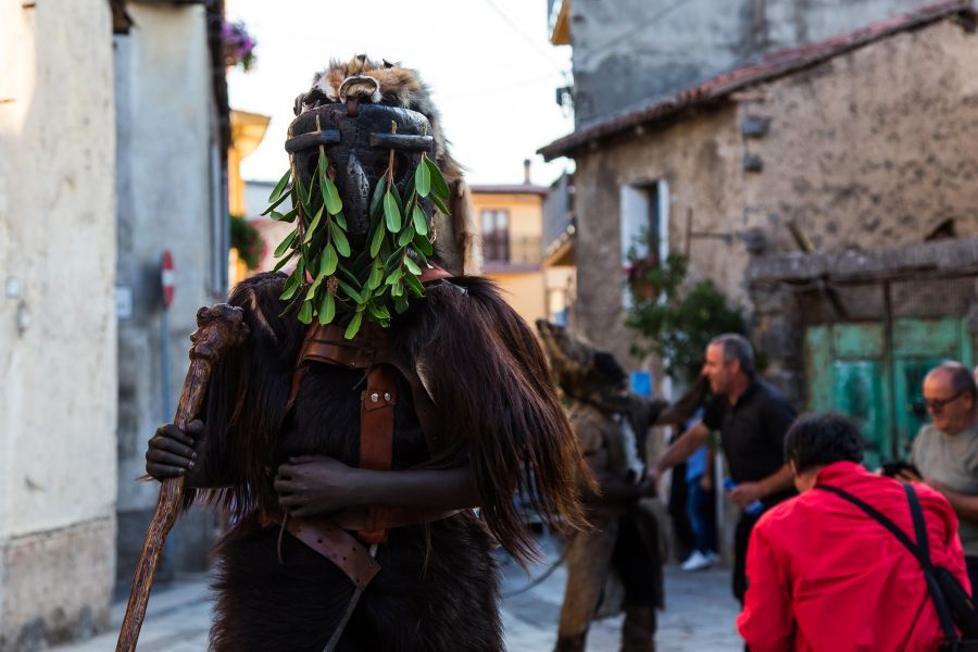 Cortes Apertas 2017