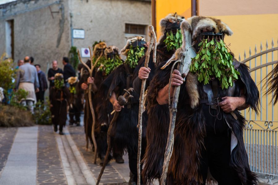 Cortes Apertas 2017