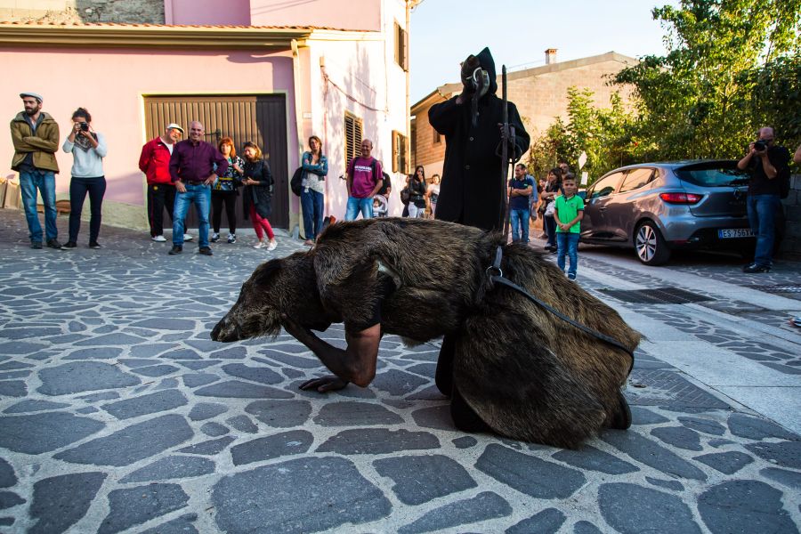 Cortes Apertas 2017