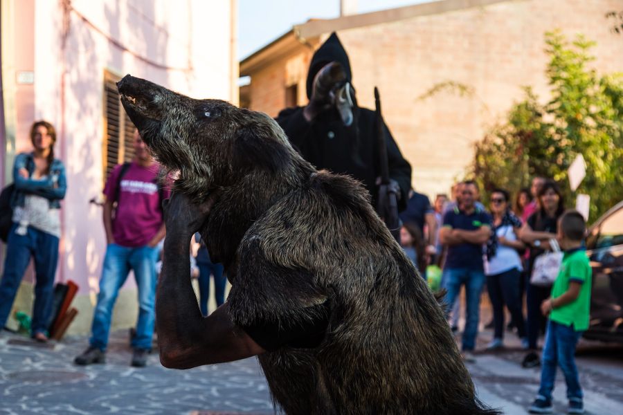 Cortes Apertas 2017