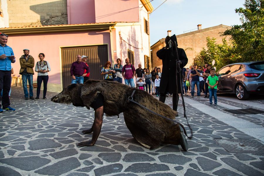 Cortes Apertas 2017