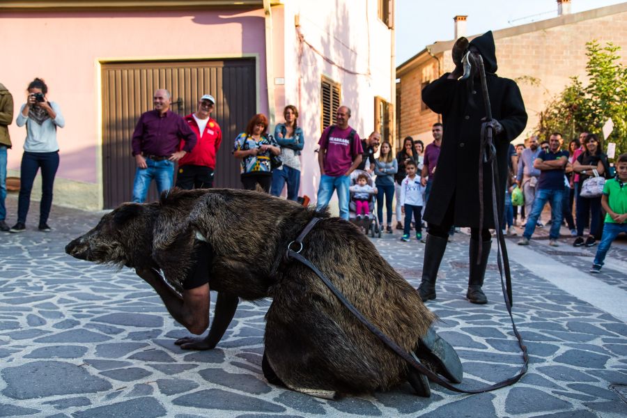 Cortes Apertas 2017