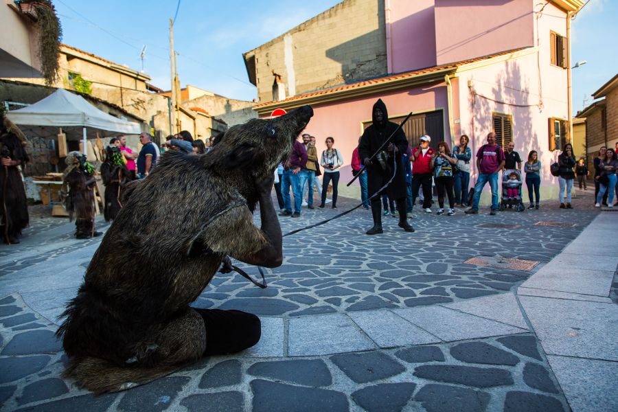 Cortes Apertas 2017