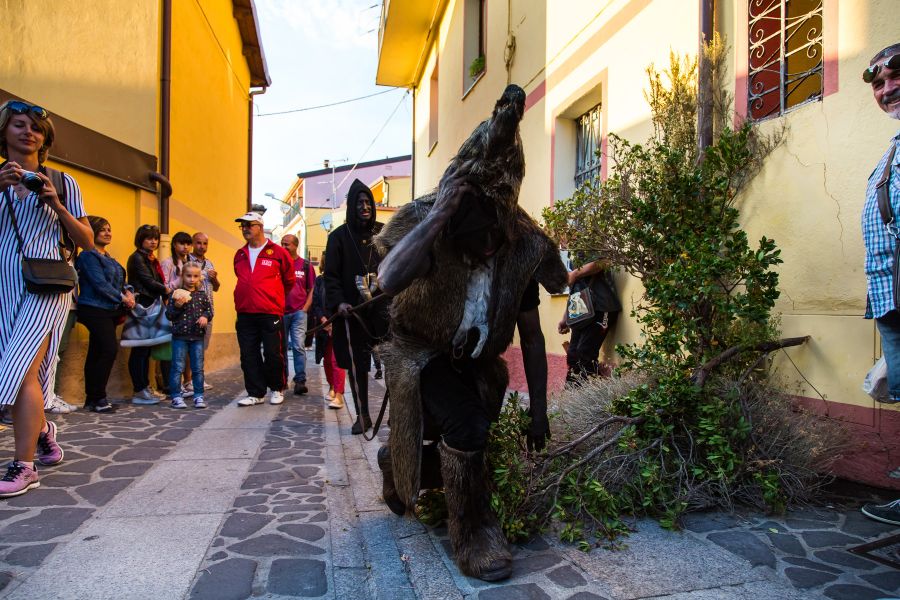 Cortes Apertas 2017