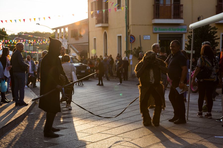 Cortes Apertas 2017