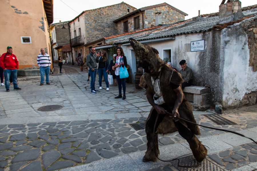 Cortes Apertas 2017