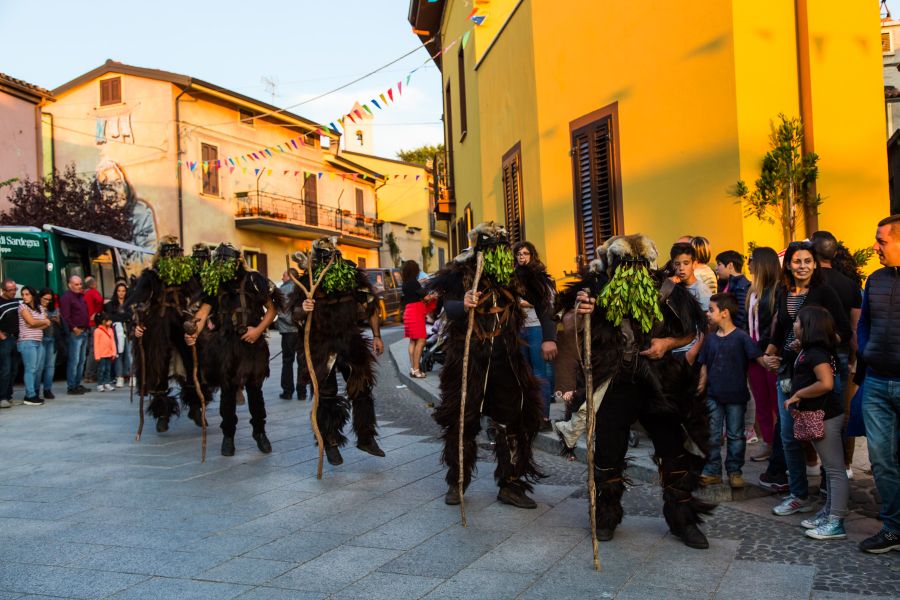 Cortes Apertas 2017