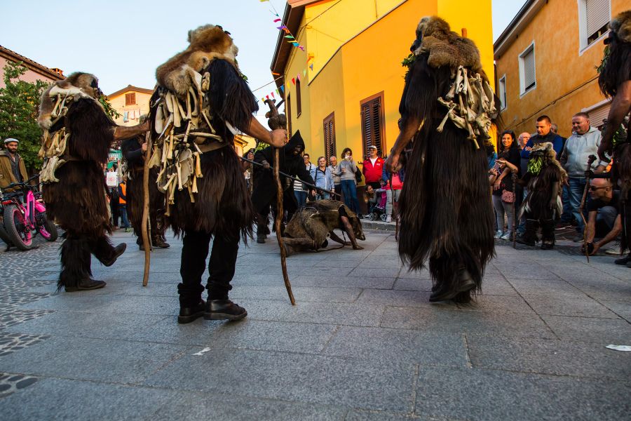 Cortes Apertas 2017