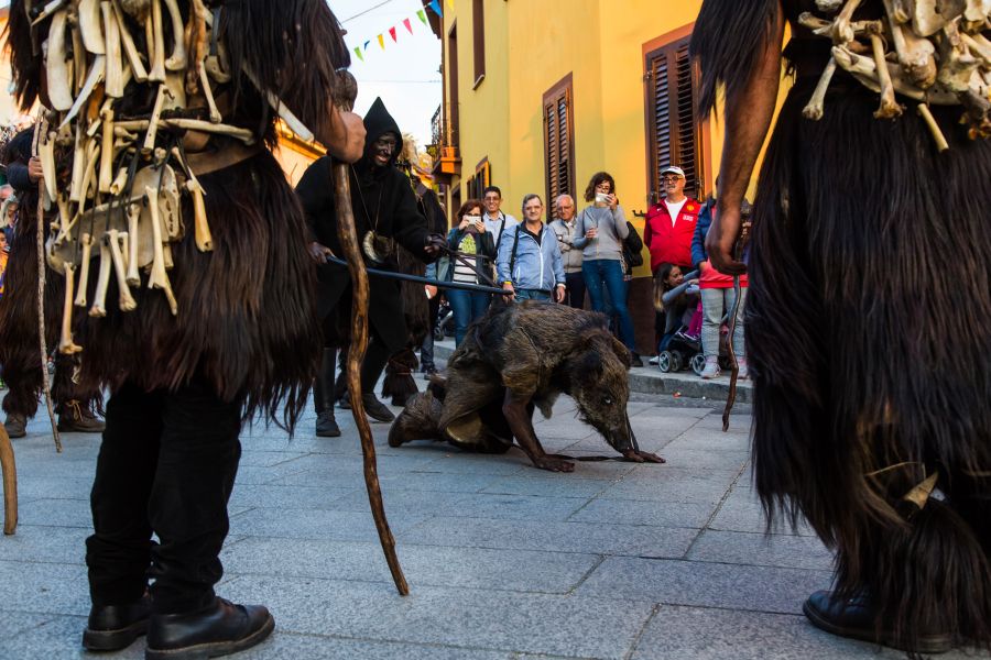 Cortes Apertas 2017