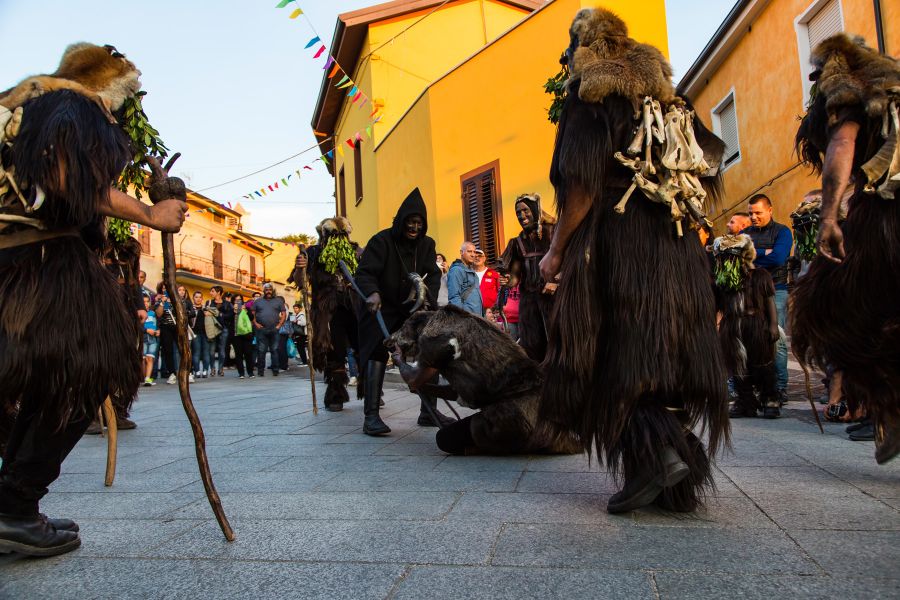 Cortes Apertas 2017