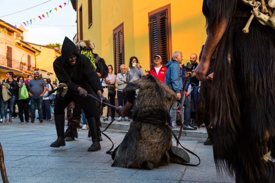 Cortes Apertas 2017