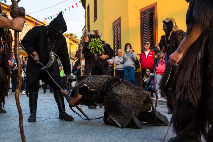 Cortes Apertas 2017