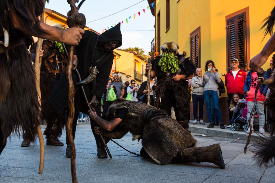 Cortes Apertas 2017