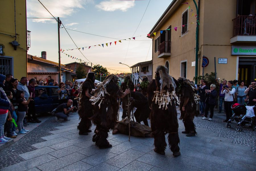 Cortes Apertas 2017