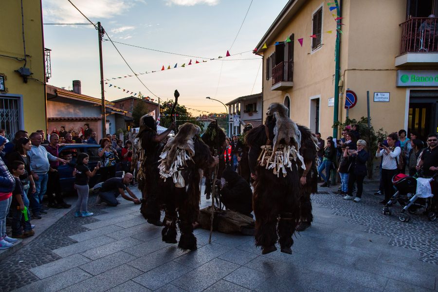 Cortes Apertas 2017