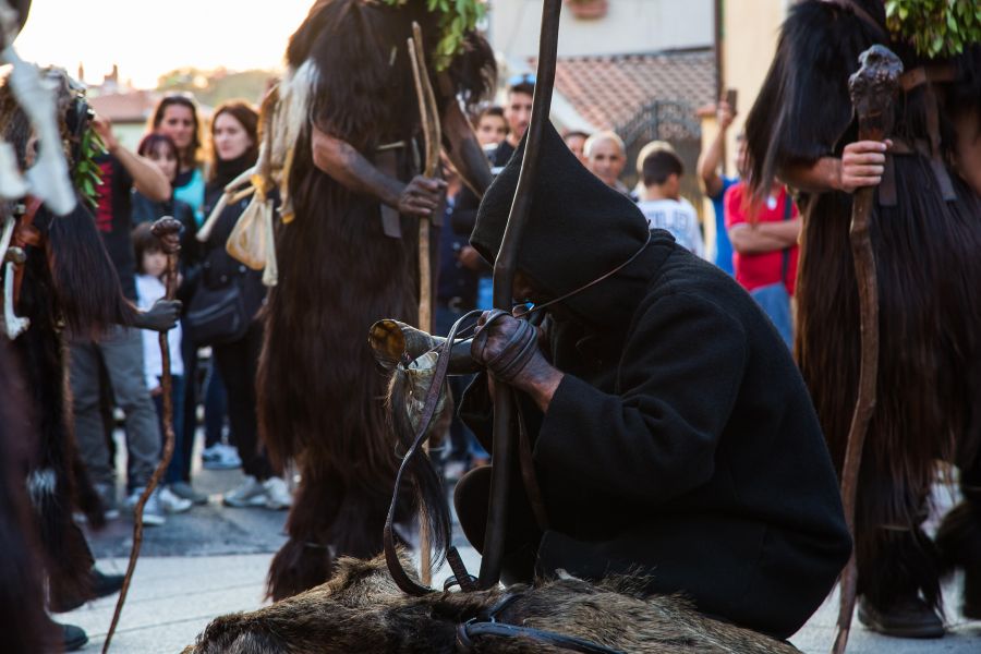 Cortes Apertas 2017