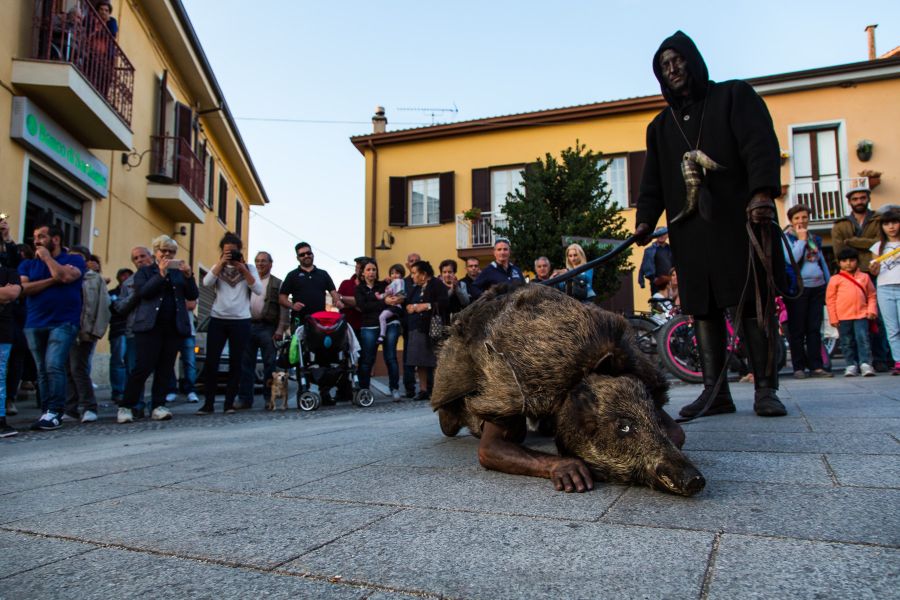 Cortes Apertas 2017