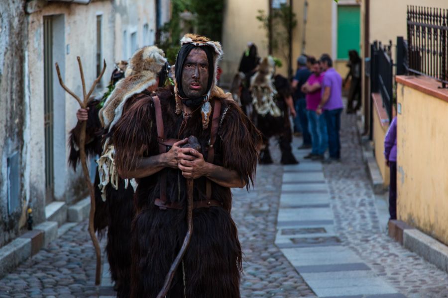 Cortes Apertas 2017