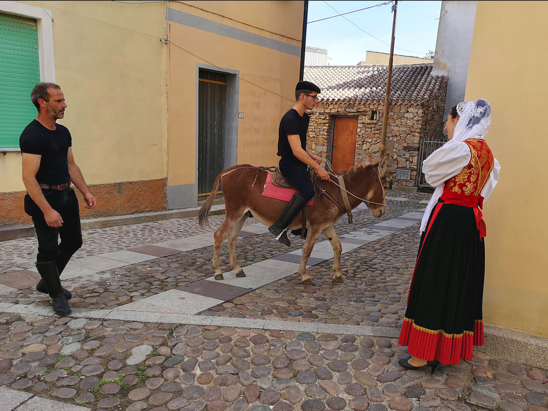 Cortes Apertas 2019