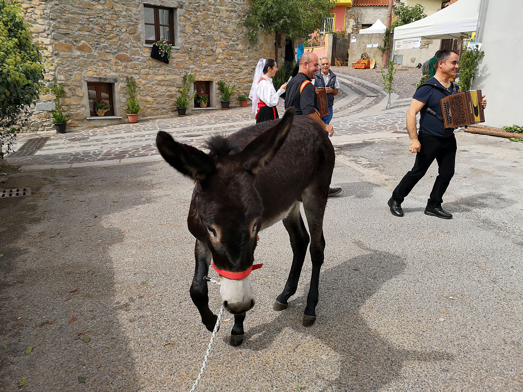 Cortes Apertas 2019