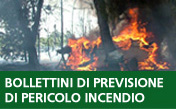 Bollettini di previsione di pericolo incendio